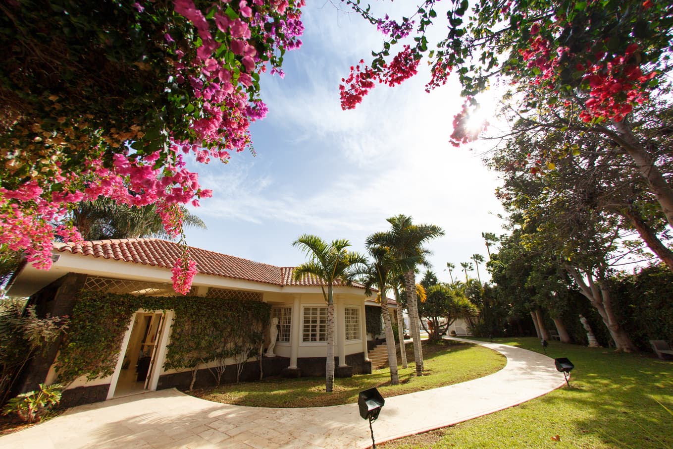 The Naked Canary Island Experience by Everything To Sea